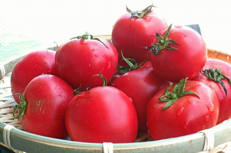 トマトの栄養